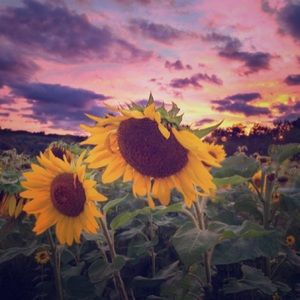 Meet your Posher, Mckenna